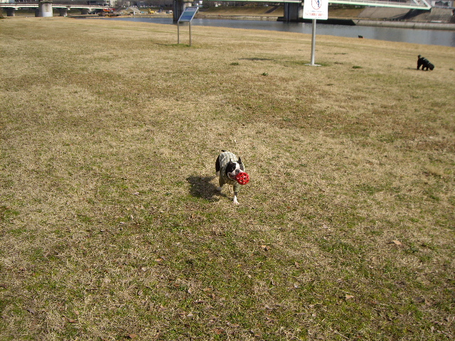 e0098547_16223149.jpg