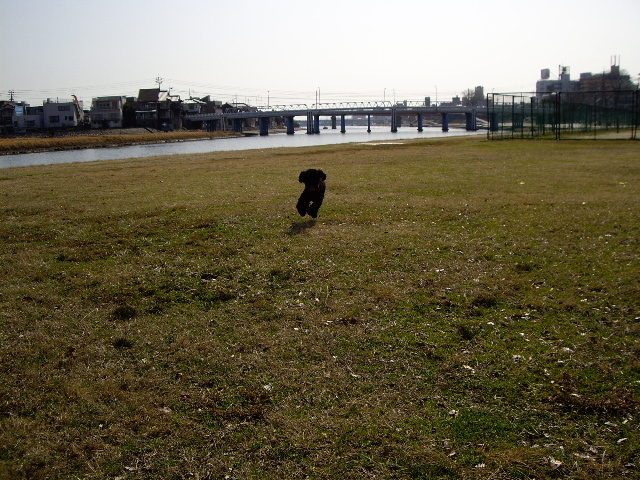e0098547_16244082.jpg
