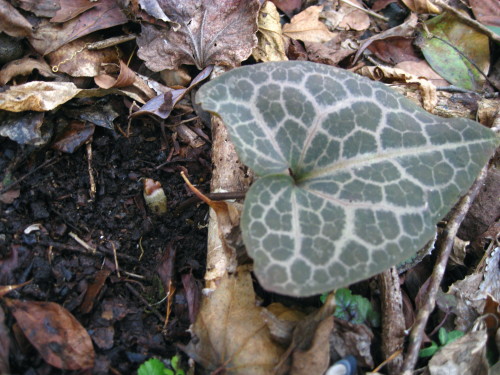 c0179351_22215746.jpg