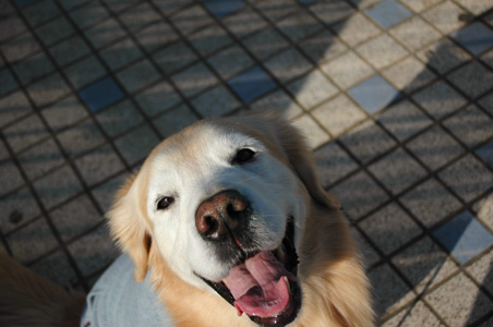 f0044853_010841.jpg