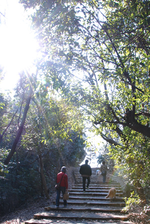 f0044853_08256.jpg