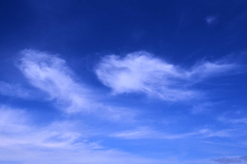b0132755_1263712.jpg