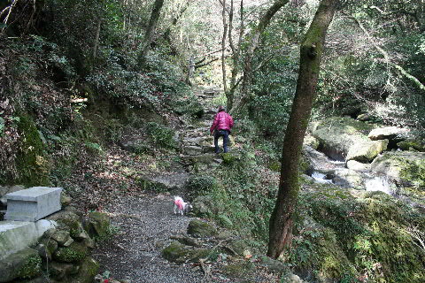 b0137459_21502760.jpg