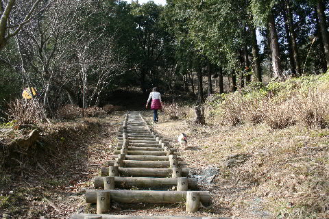 b0137459_2158934.jpg