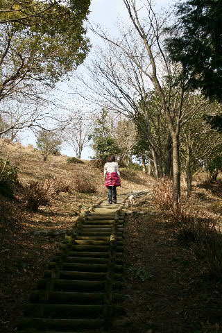 b0137459_2211037.jpg