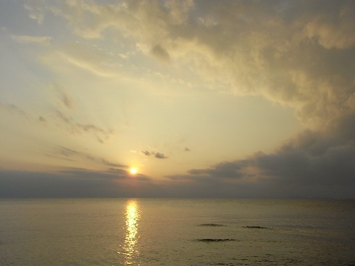 f0110663_16132471.jpg
