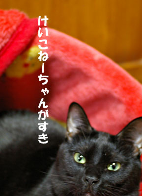 a0064067_11543083.jpg