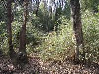 b0004675_19181950.jpg