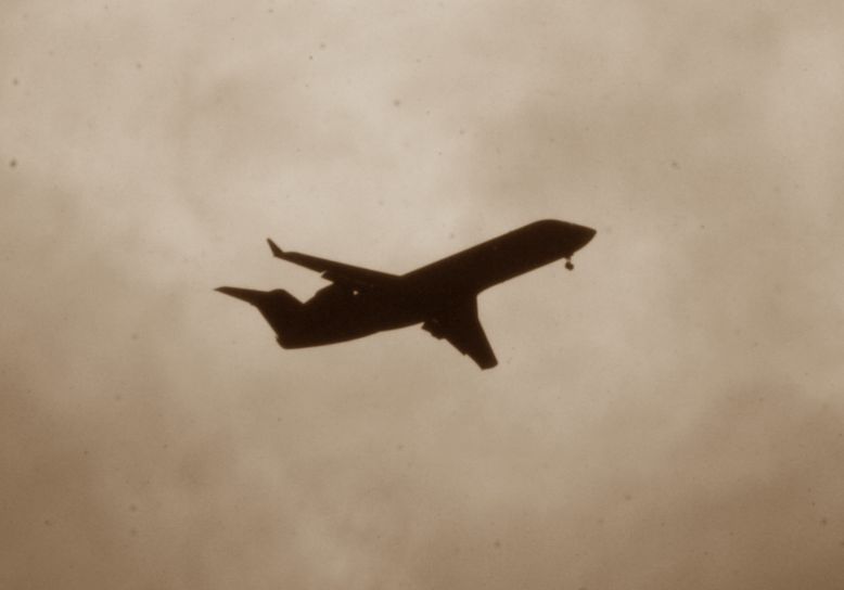 c0148781_114032.jpg
