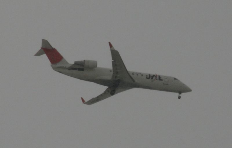 c0148781_1151480.jpg