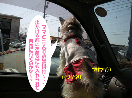 e0066883_22372953.gif