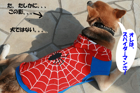 e0066883_22395040.gif
