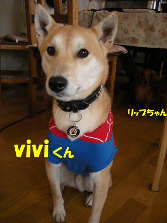 e0066883_22505654.gif