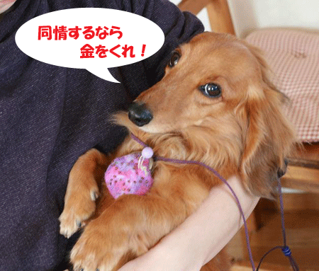 e0066883_22562183.gif