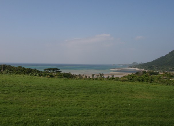 c0144185_2052385.jpg