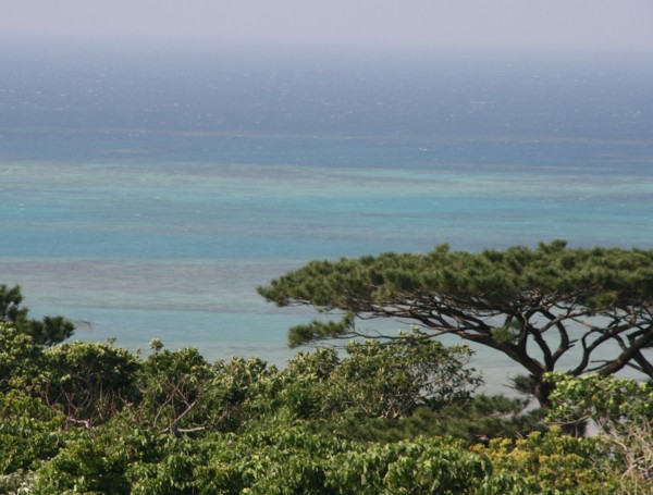 c0144185_2053380.jpg