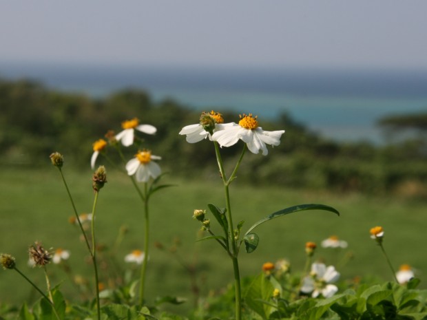 c0144185_20534416.jpg