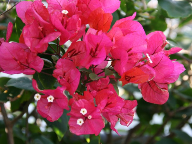 c0144185_20582494.jpg