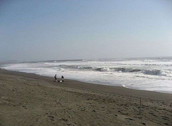e0143690_1920211.jpg