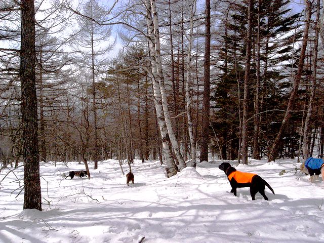 a0093592_03155.jpg