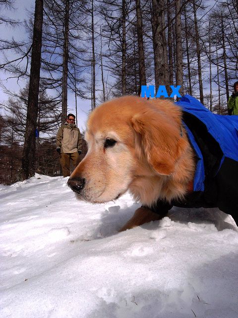 a0093592_033169.jpg
