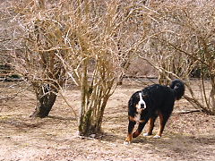 c0123692_1438145.jpg