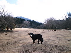 c0123692_14382592.jpg