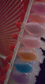 b0099994_1874643.jpg