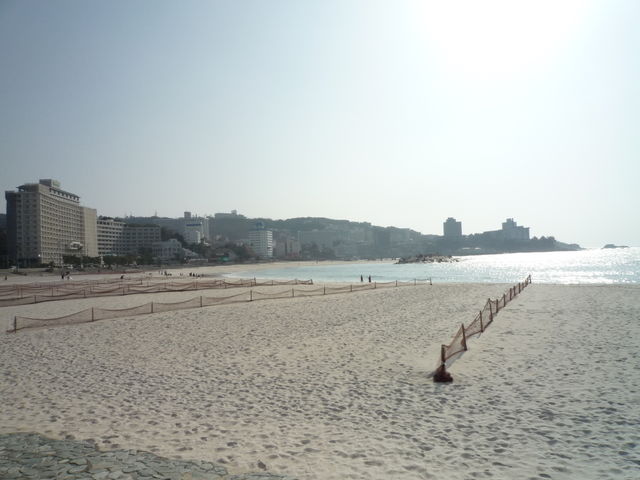 e0161194_2234958.jpg