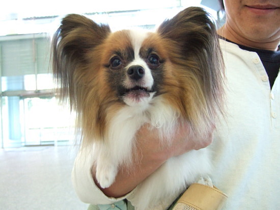 c0044199_1841669.jpg