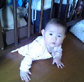 c0053700_12534386.jpg
