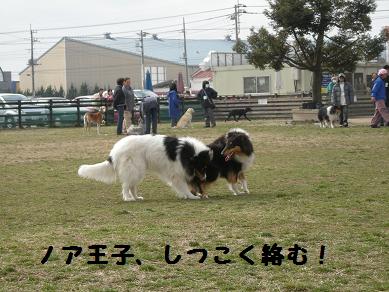 f0081100_2124276.jpg