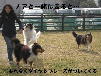 f0081100_21254688.jpg