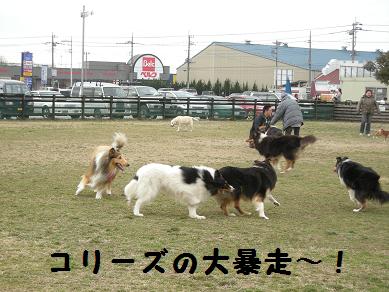 f0081100_21301663.jpg