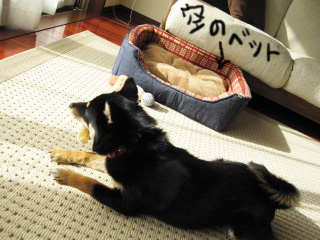 c0185516_21463098.jpg