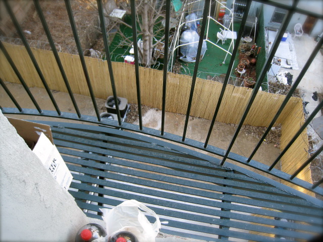 c0120817_8222914.jpg