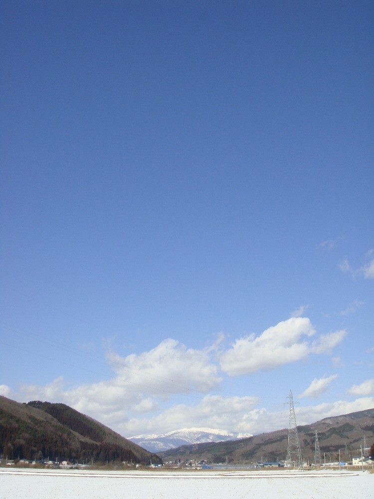 d0109319_792637.jpg