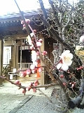 f0031420_100099.jpg