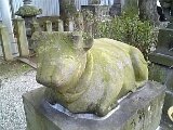 f0031420_1003787.jpg