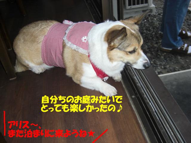 f0182121_9261329.jpg