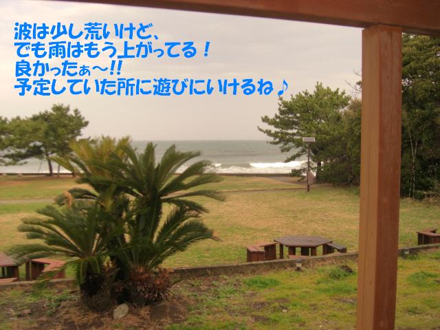 f0182121_945670.jpg