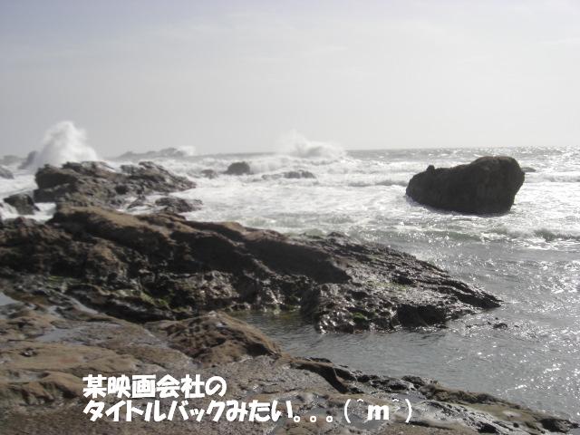 f0182121_9511728.jpg