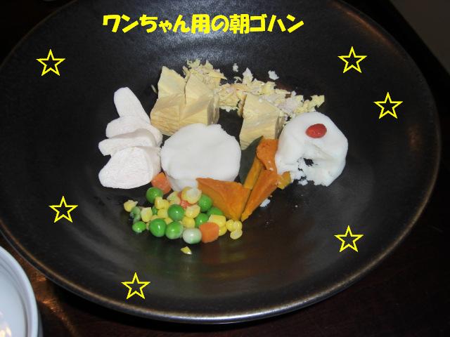 f0182121_961799.jpg