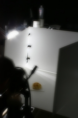 e0131724_2333062.jpg
