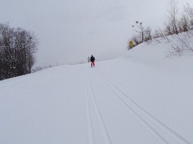 f0022024_1349271.jpg