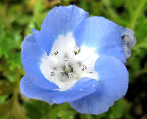 e0134232_116157.jpg