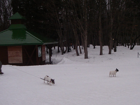 e0008833_10122382.jpg