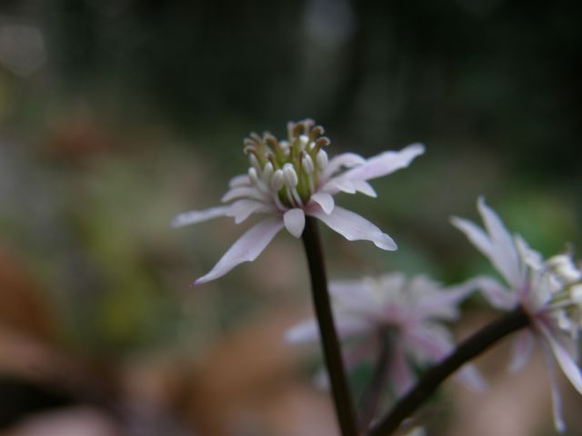 e0145033_16571371.jpg