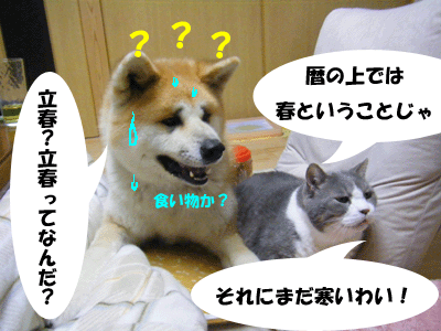 f0008935_0314117.gif