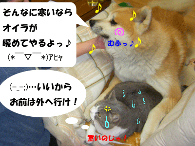 f0008935_032038.gif